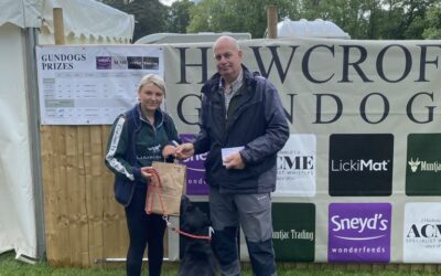 Gundog Results from the Highclere Show 2024!