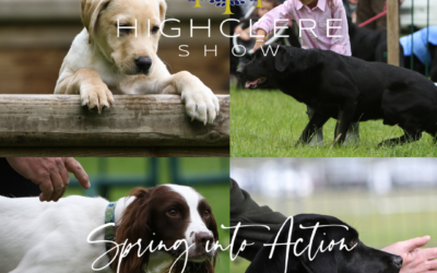 Gundogs Galore at the Highclere Show!